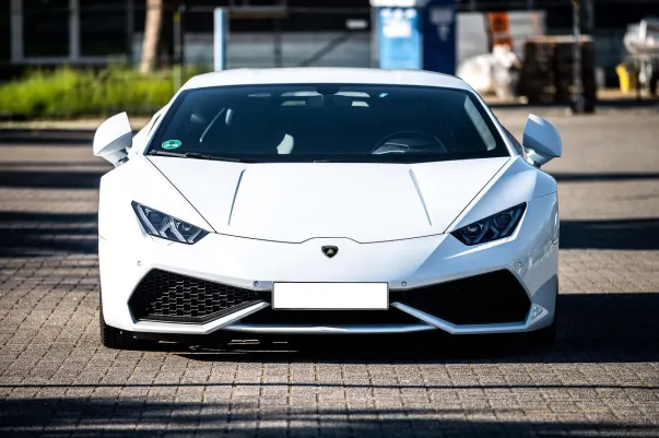 קזינו דוטי בינגו אפליקציית Android/iOS